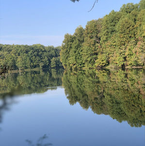 Meet your Posher, Sandy